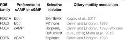 Respiratory Cilia as a Therapeutic Target of Phosphodiesterase Inhibitors